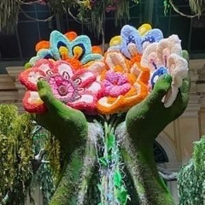 Meet your Posher, Carrie